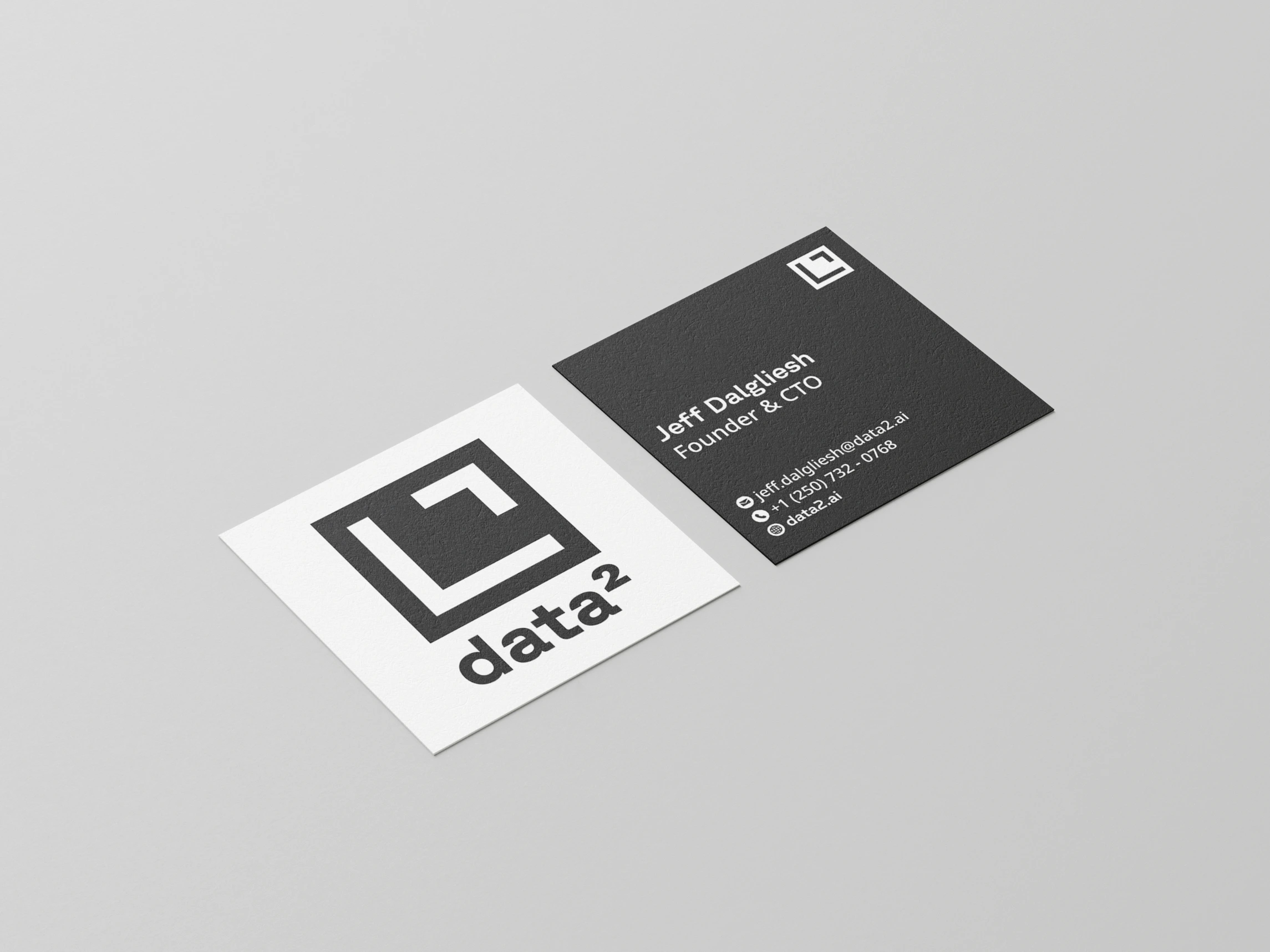 03 D2-BC Light Front Dark Back